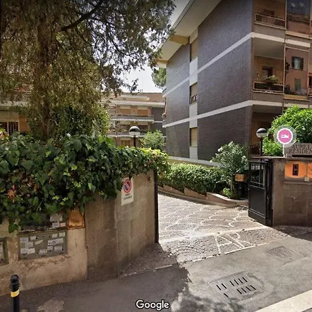 Le Tue Notti A San Pietro Roma